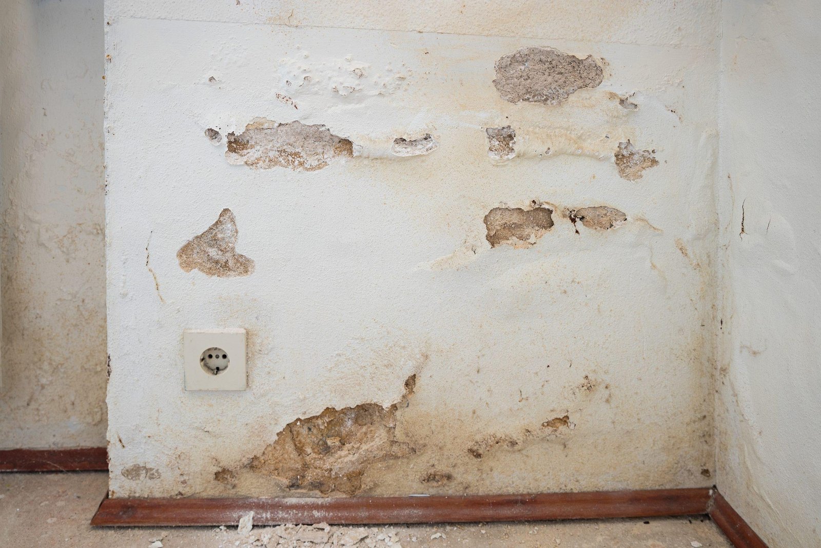 Lire la suite à propos de l’article Humidité et parquet : pourquoi le bois se déforme-t-il ?