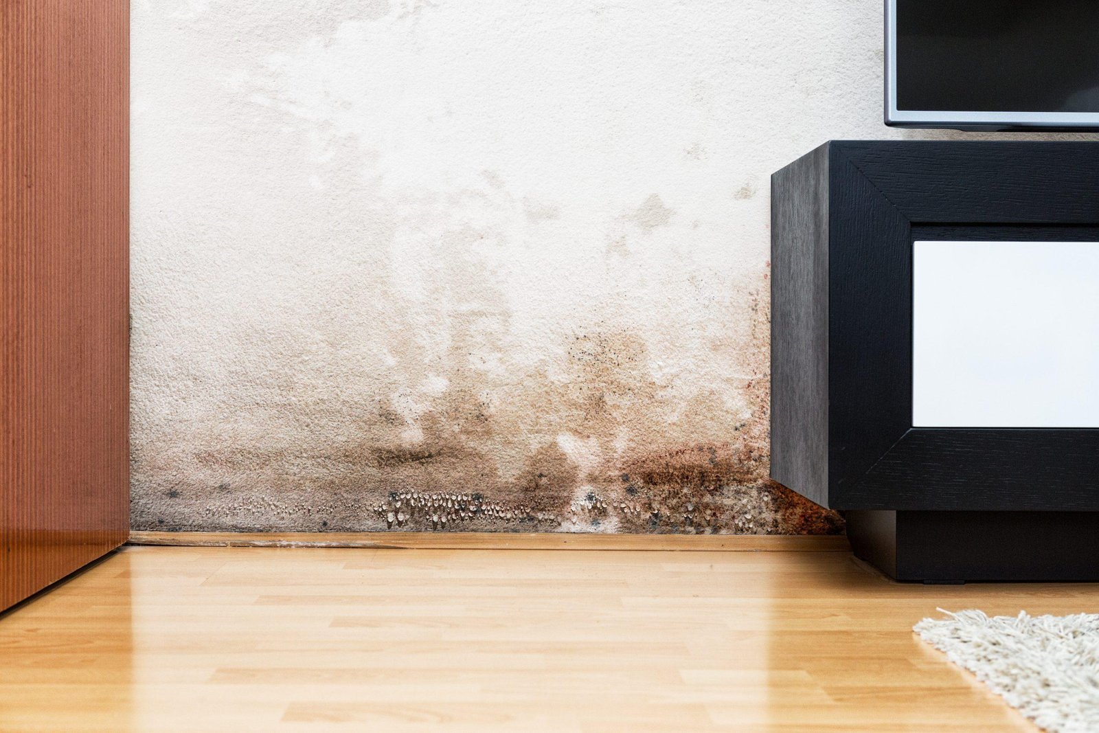 problèmes humidité logement