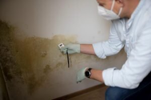 Lire la suite à propos de l’article Faux diagnostics d’humidité : comment les reconnaître ?