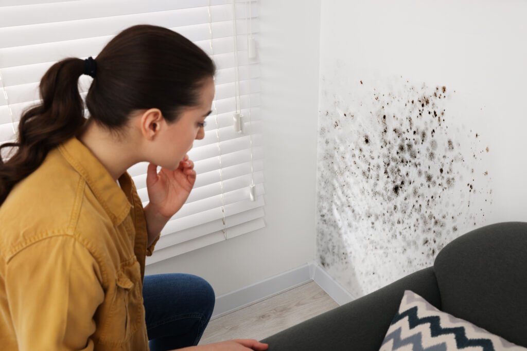 condensation ou infiltration